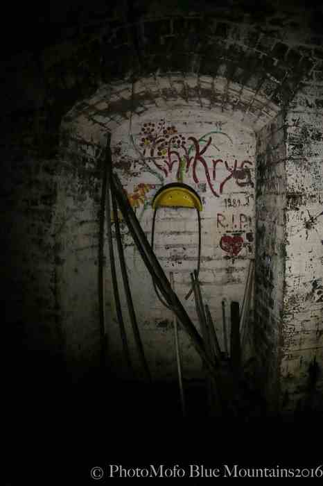 SHROOM FARM (23 of 35).jpg
