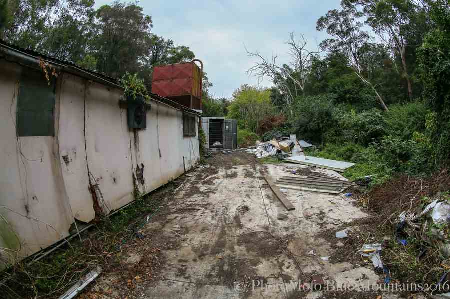 SHROOM FARM (1 of 1)-3.jpg