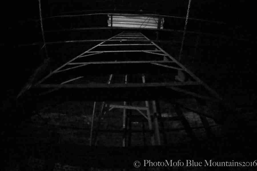 SHROOM FARM (20 of 35).jpg