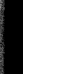 Image Tile