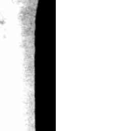 Image Tile