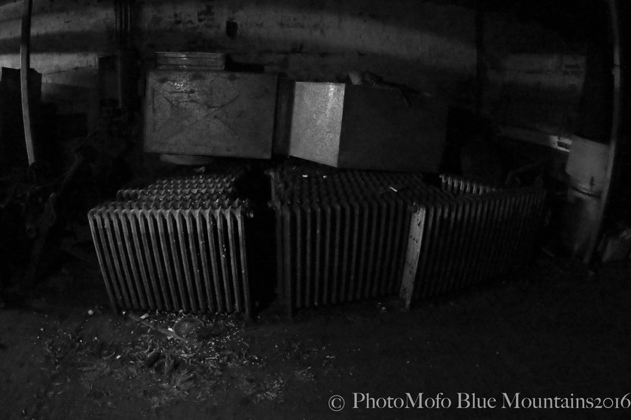 SHROOM FARM (5 of 35).jpg