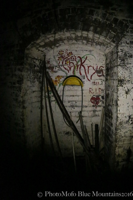 SHROOM FARM (23 of 35).jpg