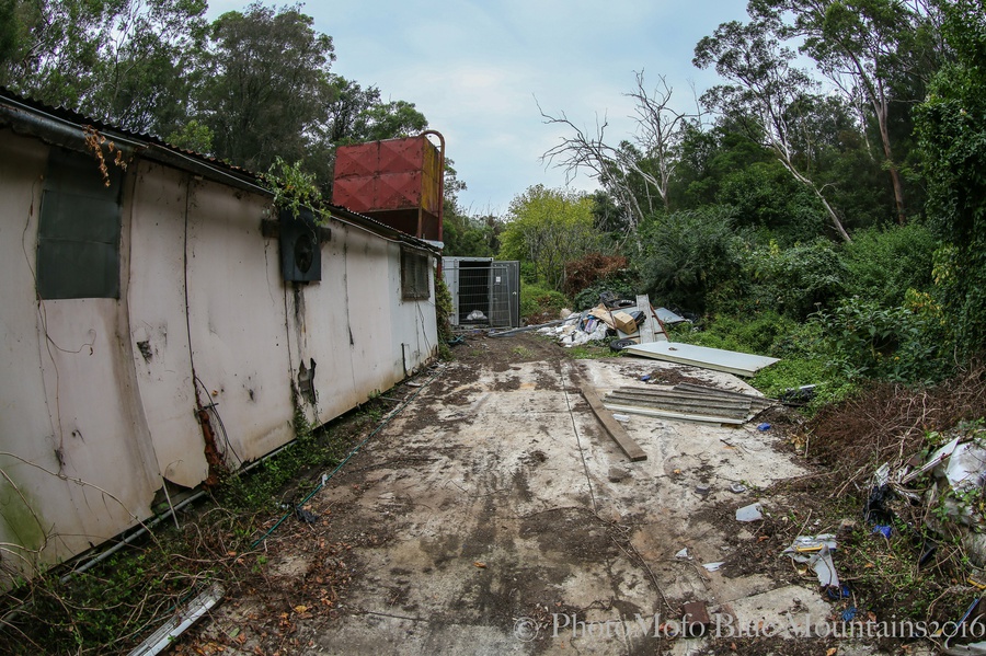 SHROOM FARM (1 of 1)-3.jpg