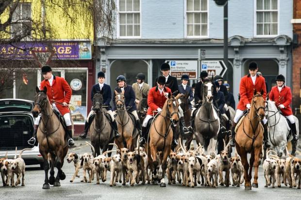 Poll: what is your opinion on fox hunting?