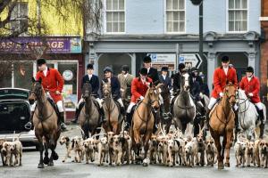 Poll: what is your opinion on fox hunting?